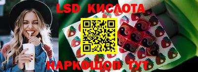 apvp Ярославль