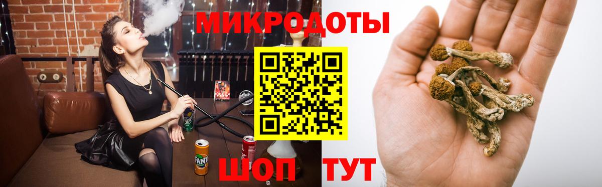 Галлюциногенные грибы Psilocybe  Вход с VPN  Лесной 